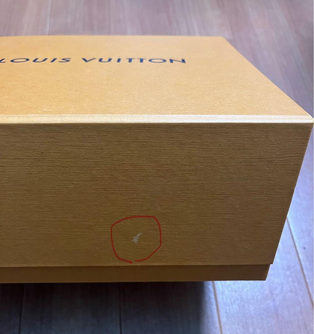 箱•ショッパー付属 美品 LOUIS VUITTON ダヌーヴ エピ