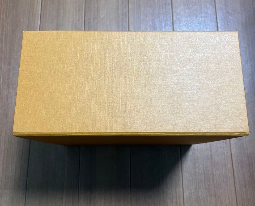 箱•ショッパー付属 美品 LOUIS VUITTON ダヌーヴ エピ