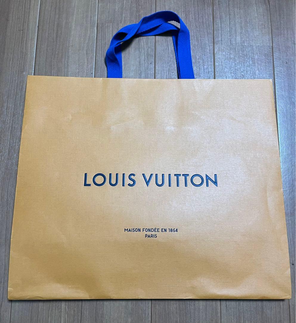 箱•ショッパー付属 美品 LOUIS VUITTON ダヌーヴ エピ