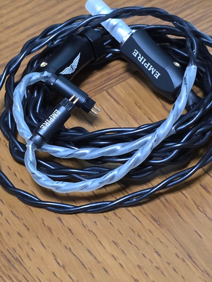 【かねこ】【美品】Empire Ears Raven コーティング済