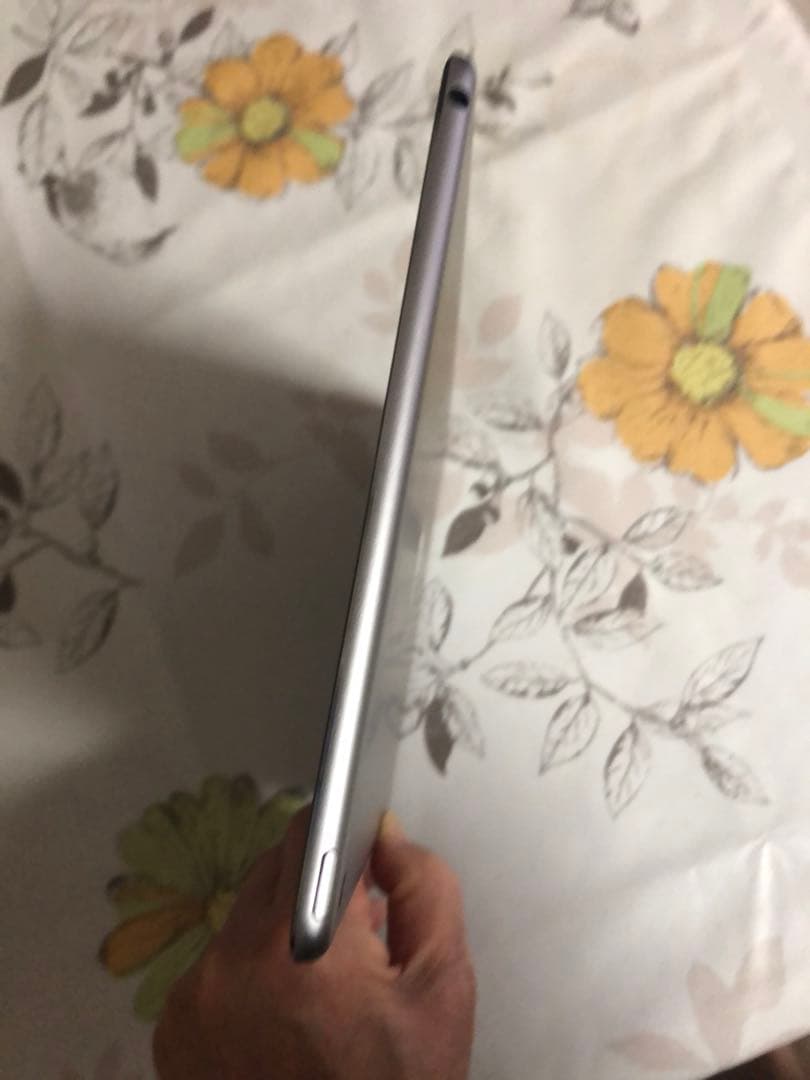 【値下げ】美品iPad Air2 wi-fi32G バッテリー元気ケースシート