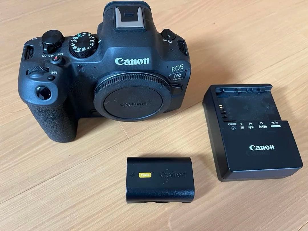 Canon EOS R6 mark2 美品