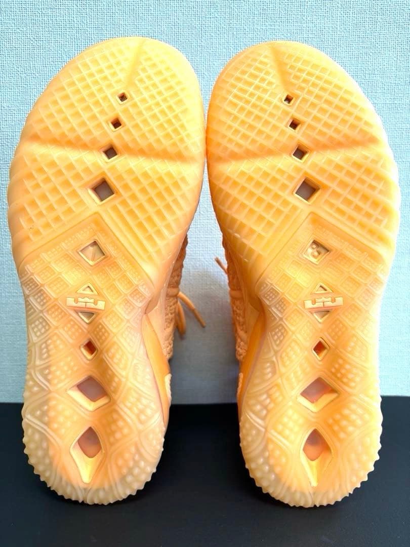 シューズ(男性用) NIKE LEBRON XVIII EP \"MELON TINT\" 28cm