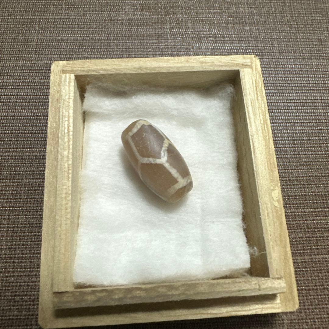 紅朱砂　亀甲EC