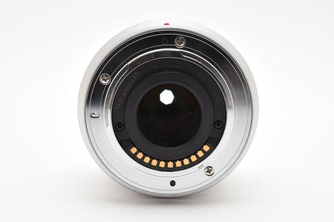 【極美品】Panasonic LUMIX G 25mm F1.7 ASPH.