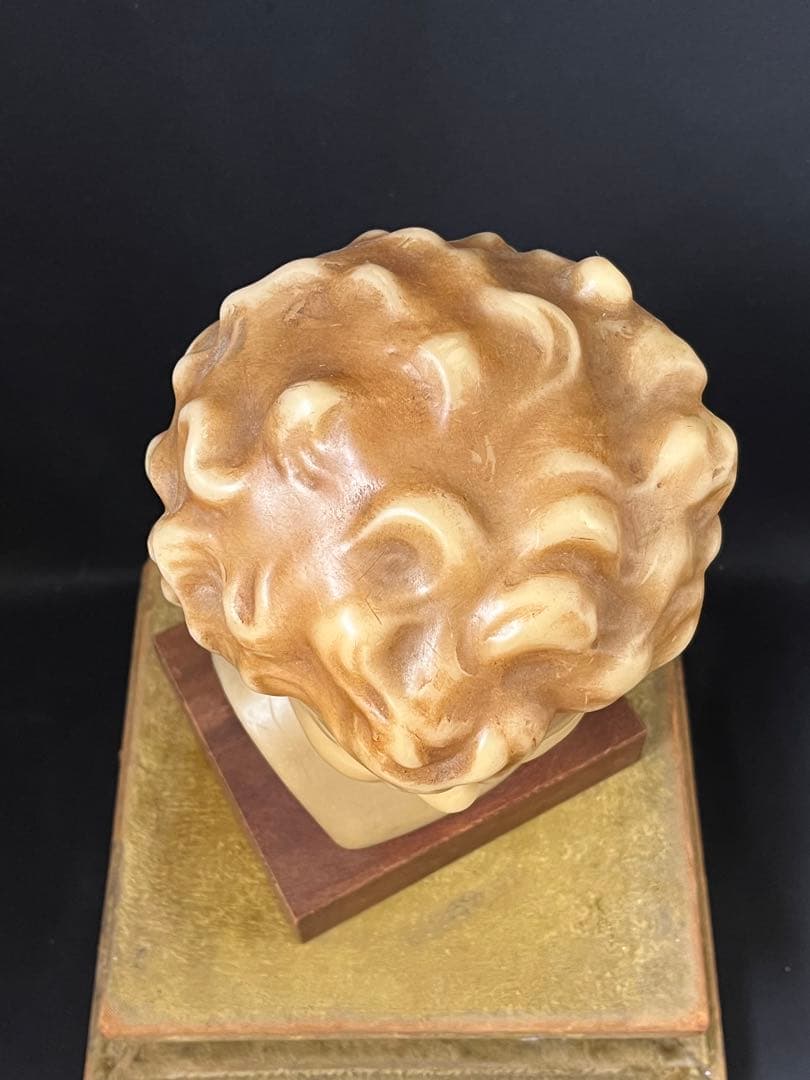 19世紀末 フランス アンティーク ワックス少年静かな佇まいの胸像