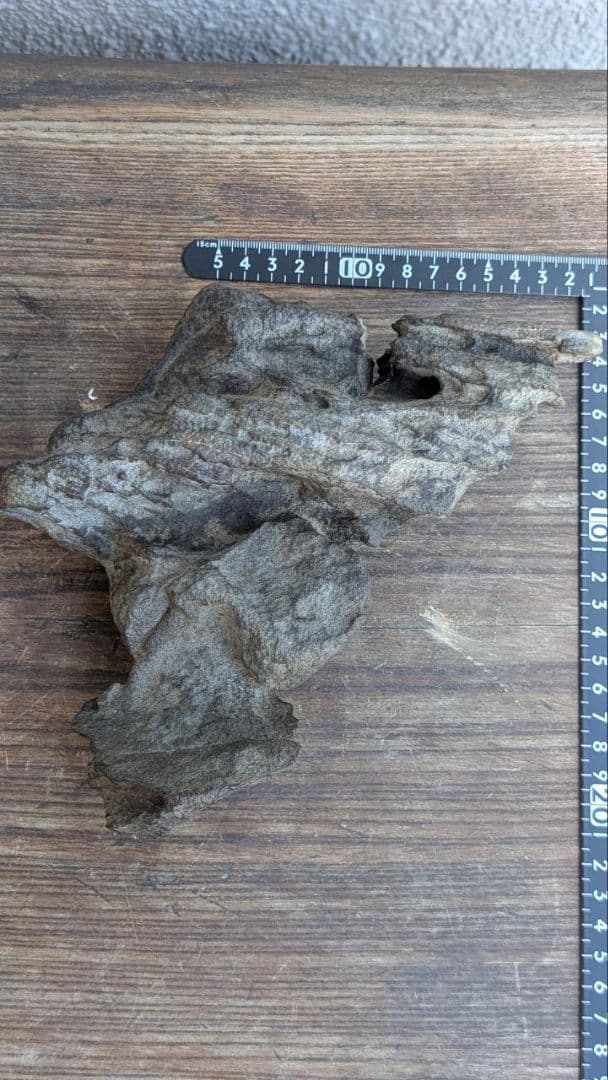 古谷石　水石　鑑賞石