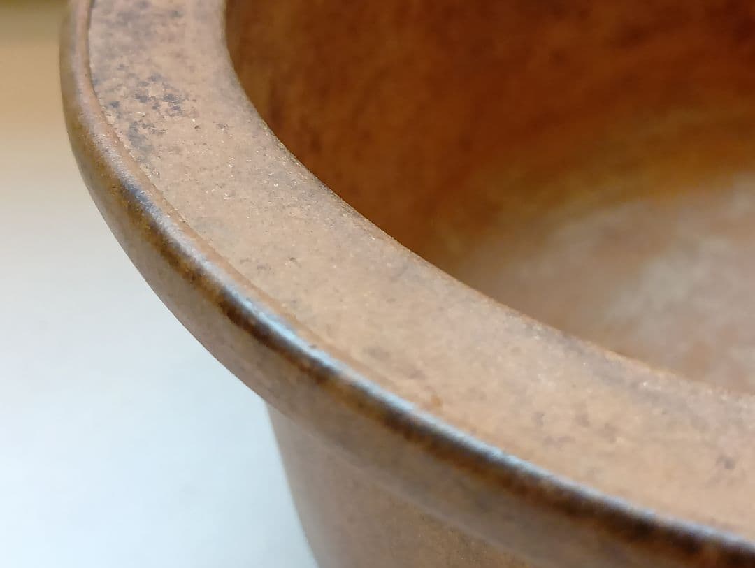 盆栽鉢（横木瓜）