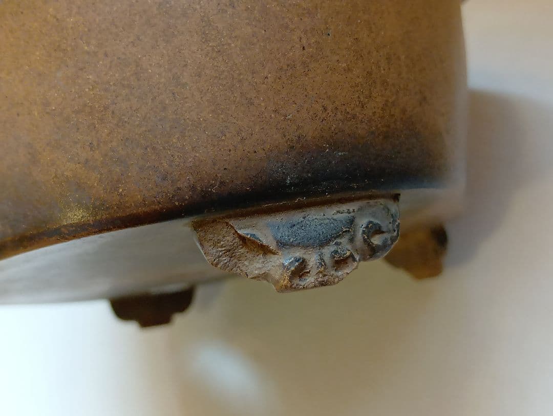 盆栽鉢（横木瓜）