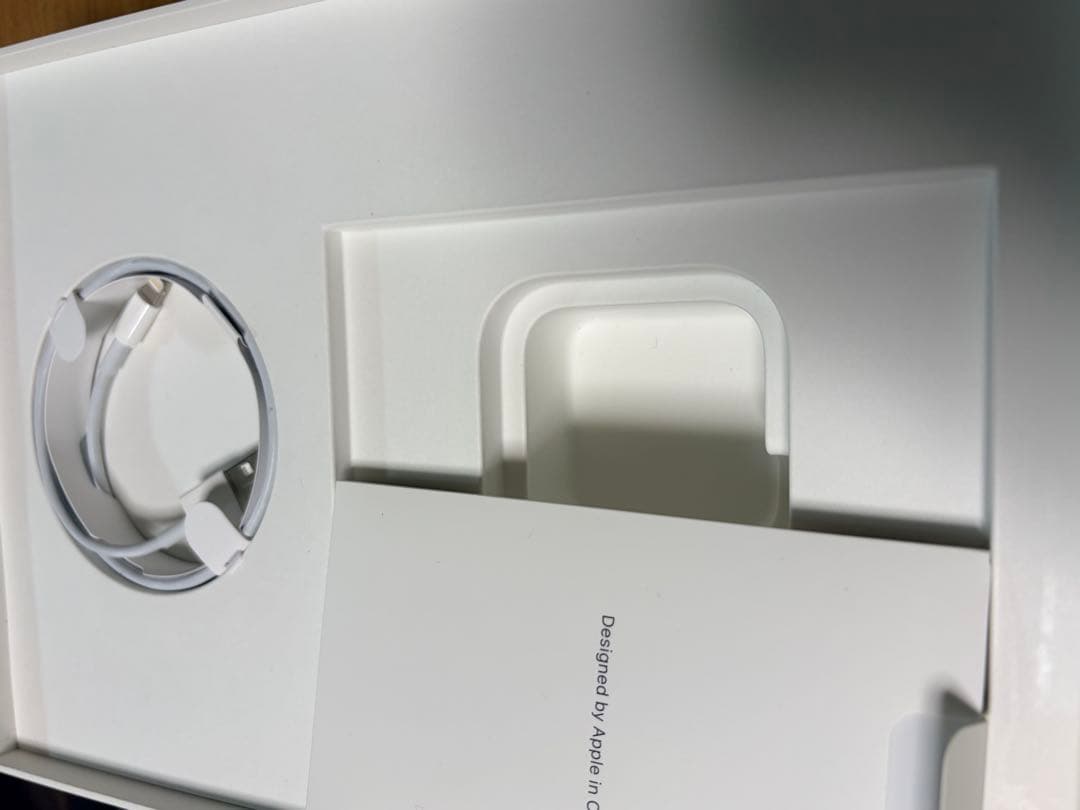 iPad Pro 9.7インチ　ゴールド　128GB