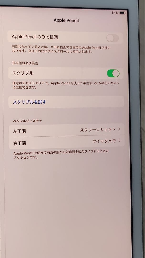Apple iPad 本体 アイパッド　第7世代　32GB 2019