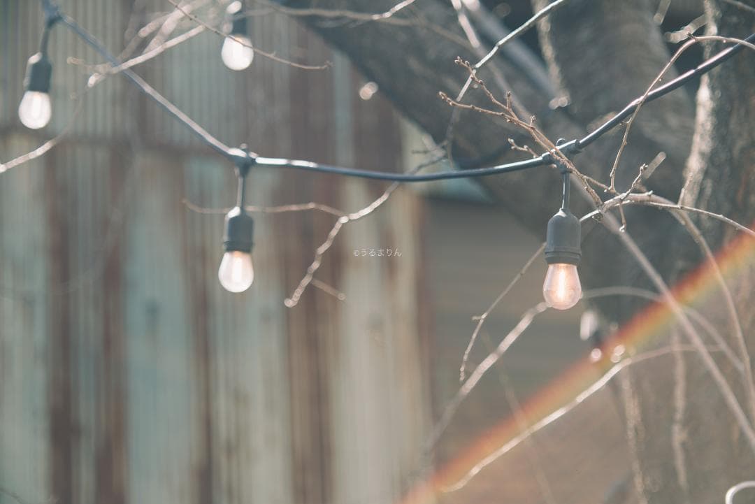 SALE!木村文乃使用モデル！Leica Elmarit 90mm F2.8