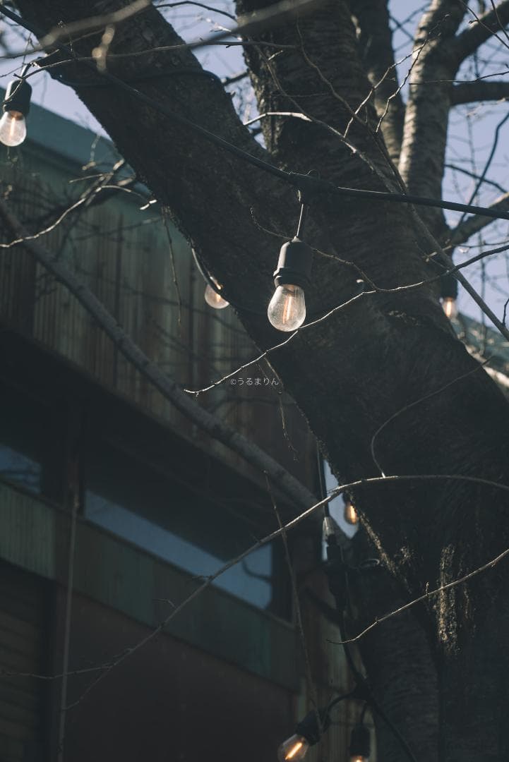 SALE!木村文乃使用モデル！Leica Elmarit 90mm F2.8