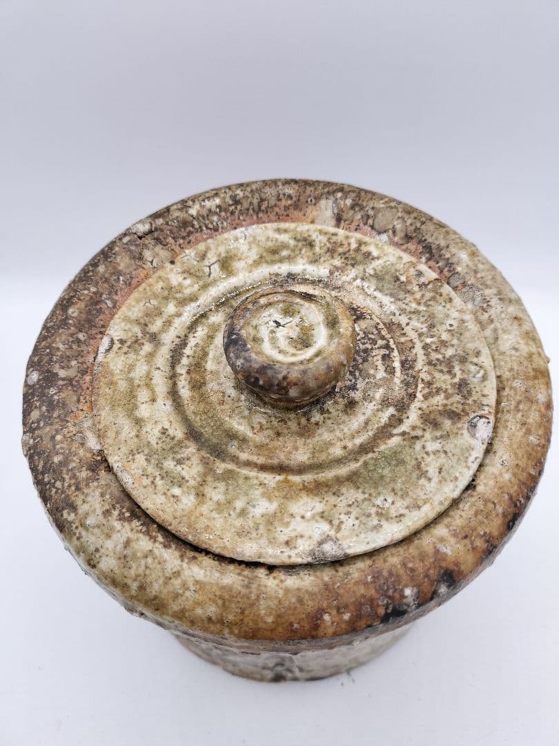 c507 信楽水指 高橋楽斉 木箱 茶道具 古物