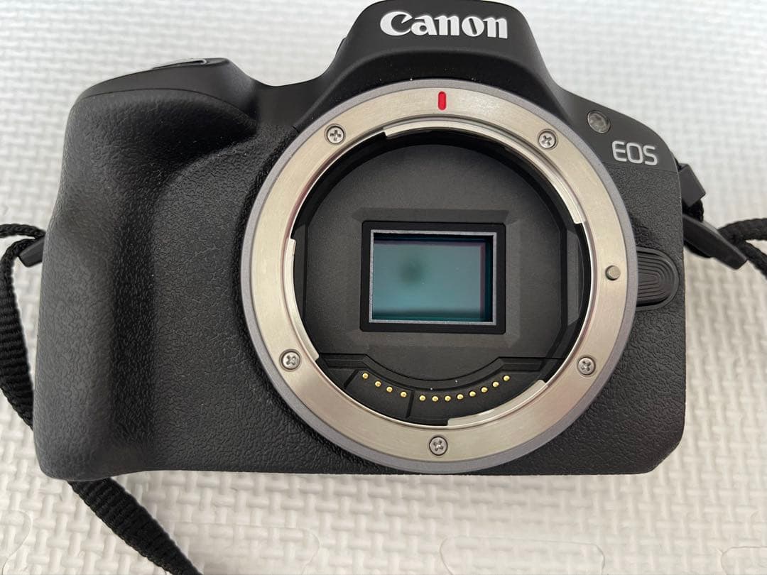 Canon EOS R50【極美品】使用わずか／付属品完備／動作良好