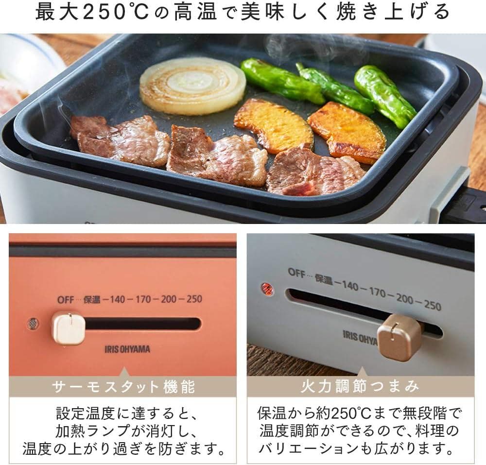 アイリスオーヤマ ホットプレート グリル鍋 2枚プレート IGU-P2-D