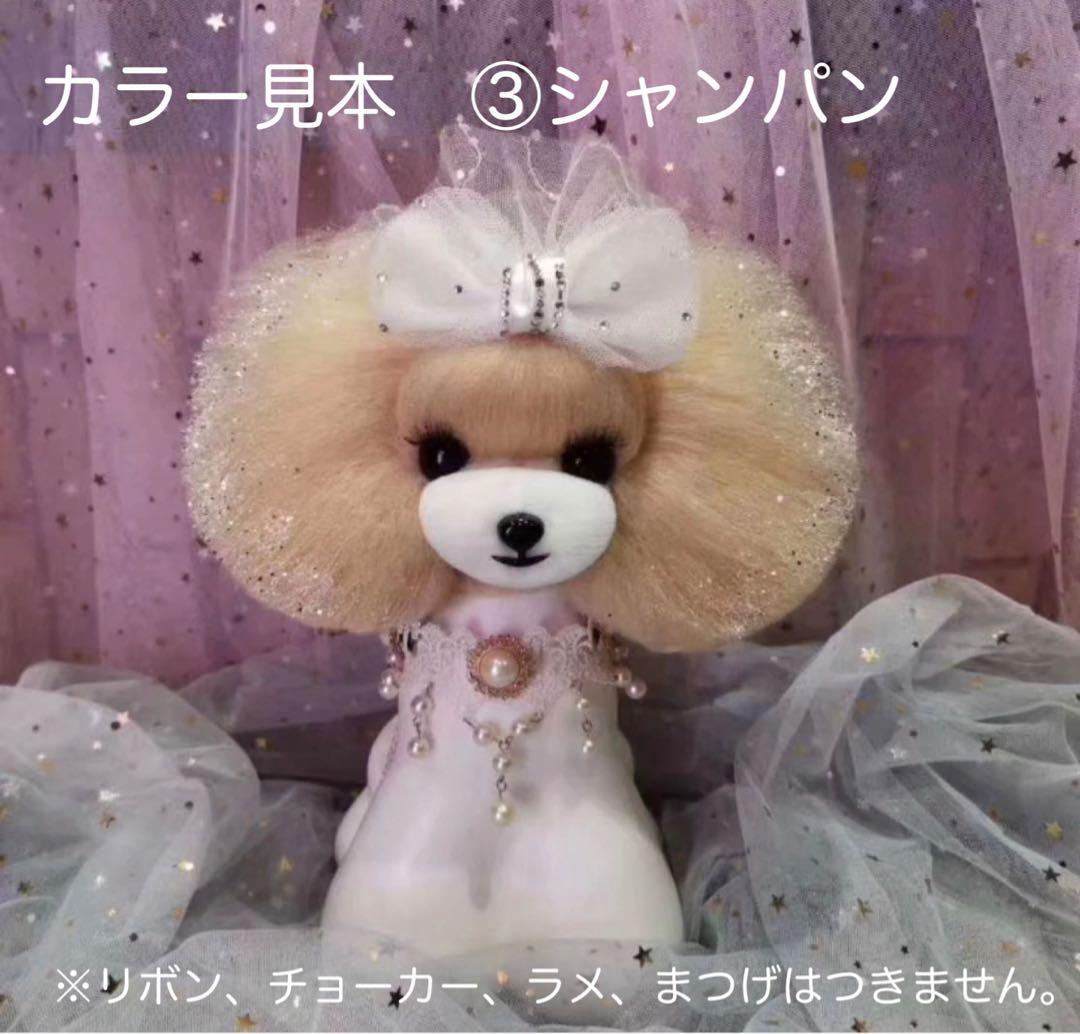 ウィッグ１０個セット