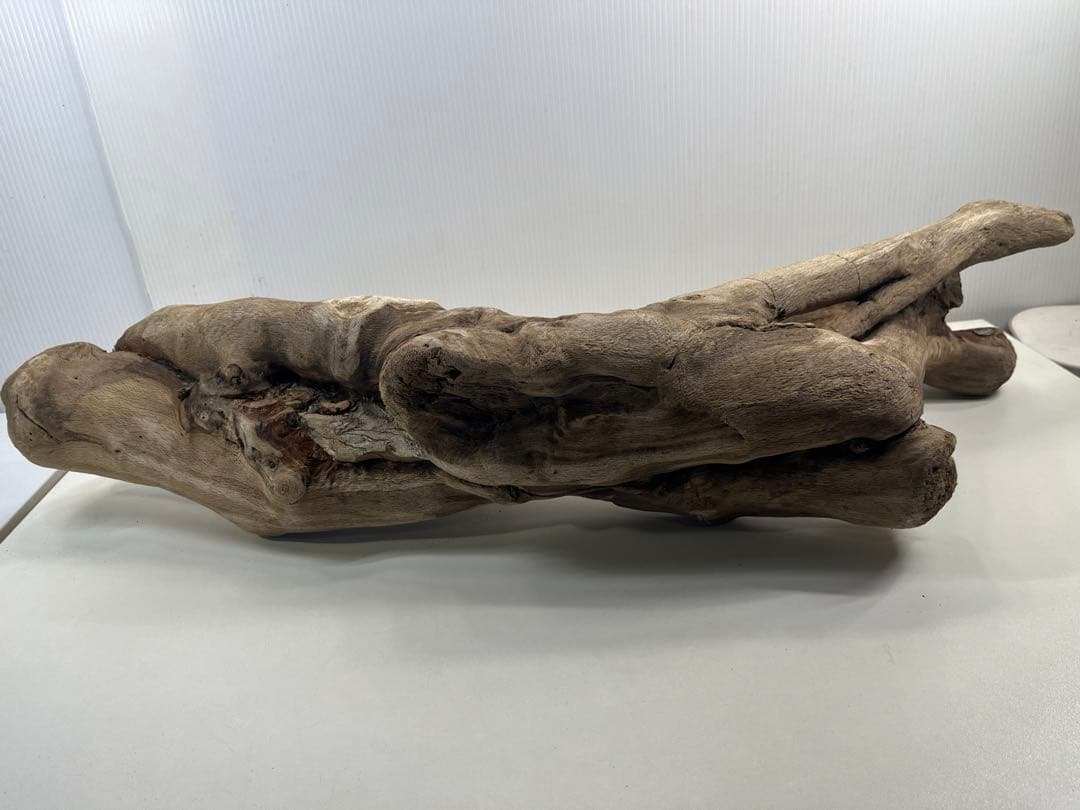 A16大型流木 アク抜き済み流木 爬虫類シェルター 登り木 インテリア 生け花