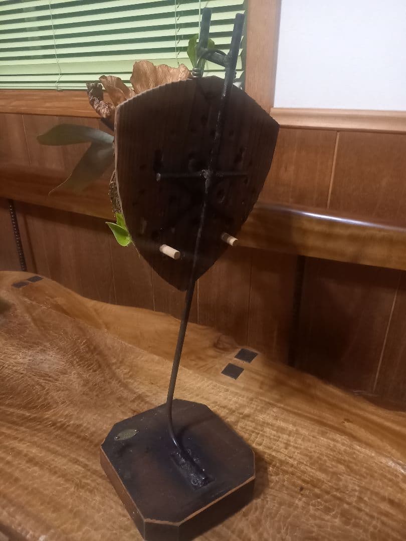 ビカクシダスタンド No.2(スタンドのみ)