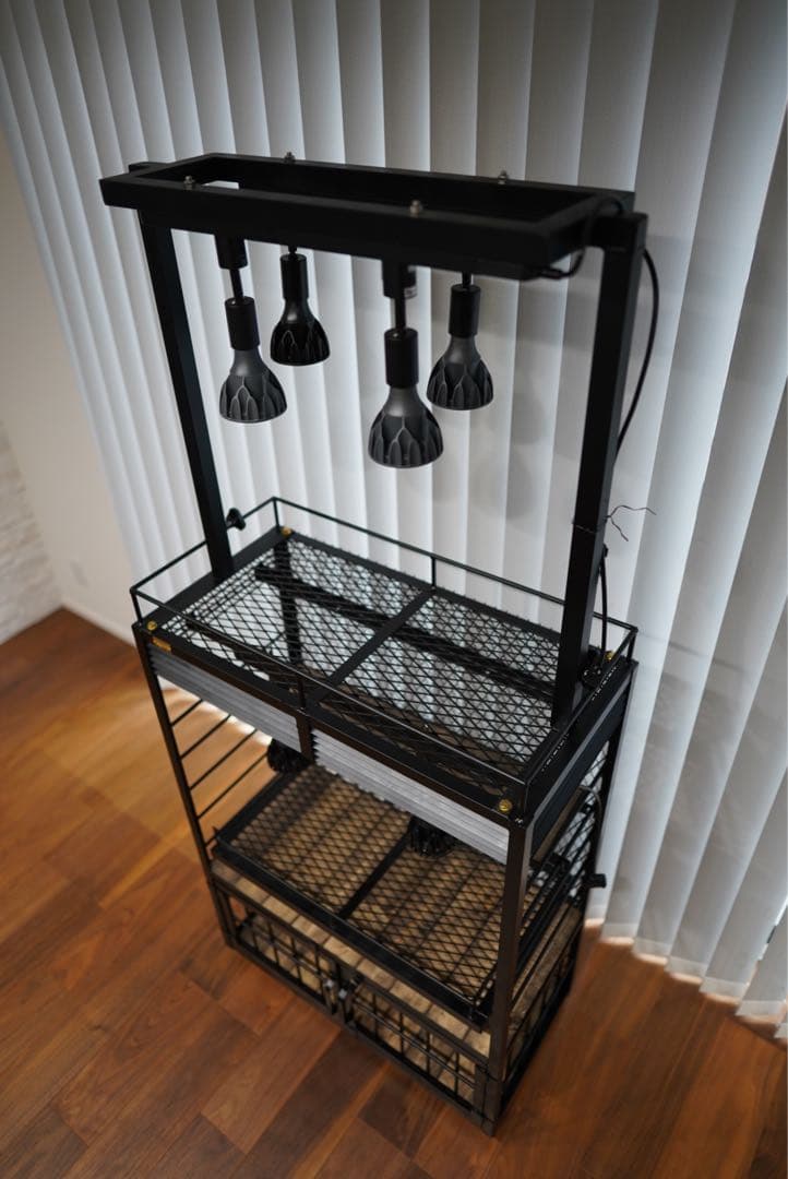 植物棚　アガベ　塊根植物