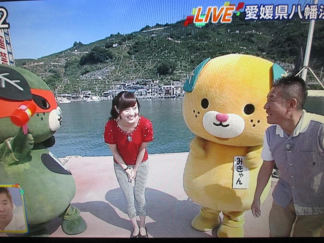 動作良好☆Panasonic ブルーレイレコーダー DMR-BR550