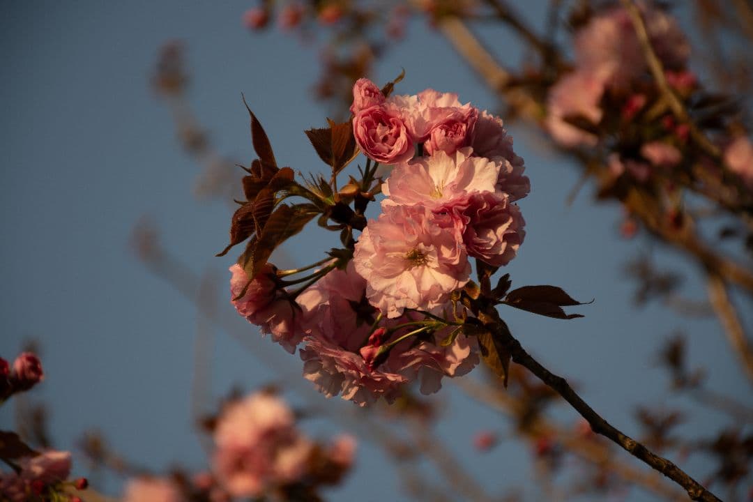 【美品】Nikon 18-140mm f/3.5-5.6G ED VR