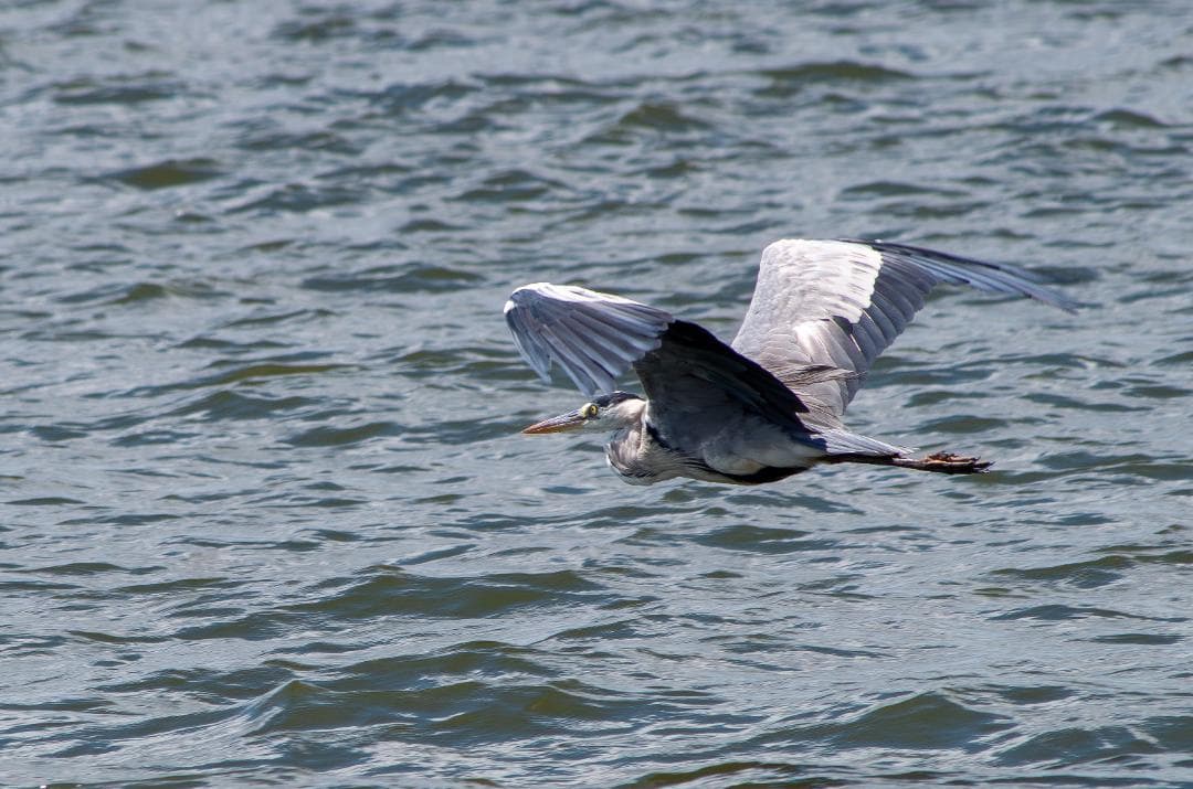 【黒死病対策】【内臓電池交換】PENTAX K-30 初心者向けセット