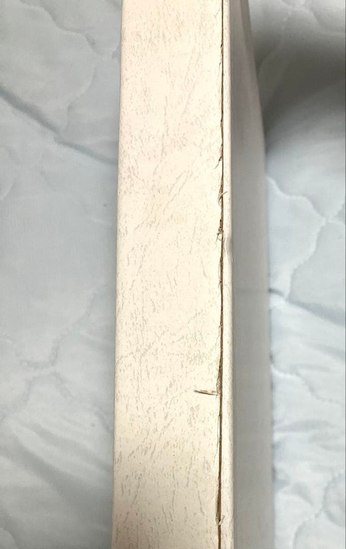 ホロライブ ときのそら おるだん先生描き下ろし Dream! 複製原画