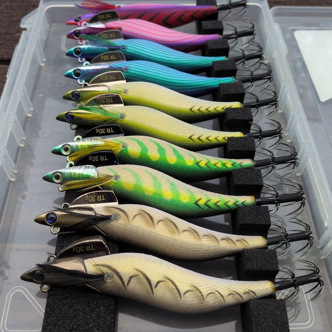 ダートマックス　TR tr パープル　ボーダー　グリーン　パープルレッド系