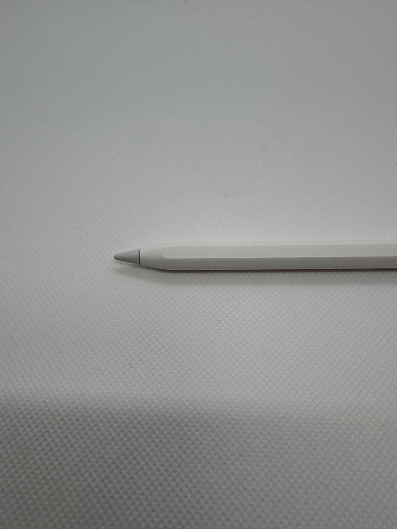 Apple Pencil USB-C アップル純正品