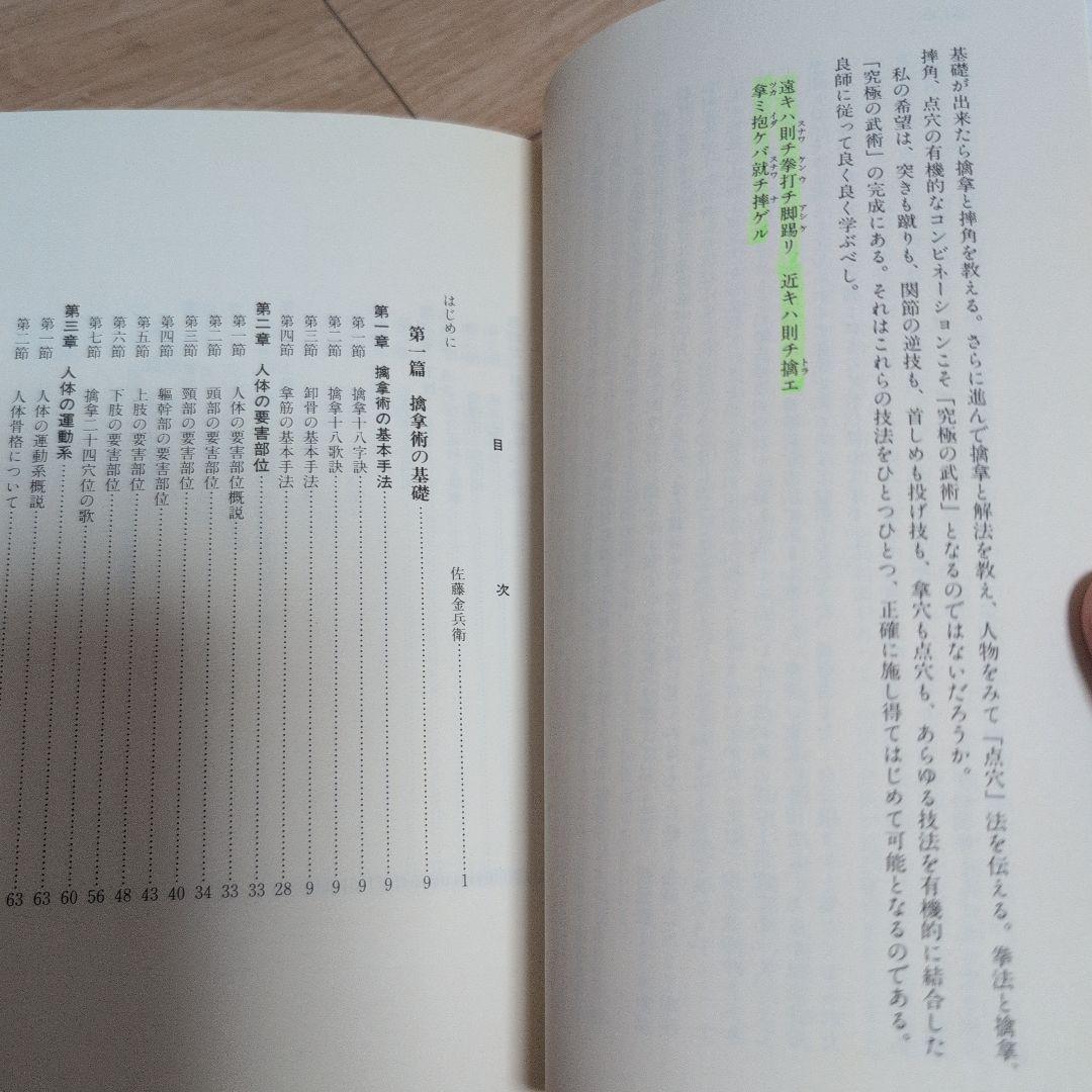 正伝実戦擒拿術 : 中国武術関節技のすべて