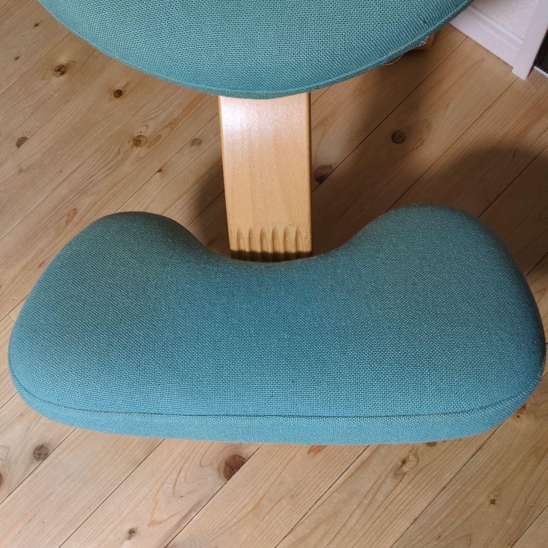 Rybo リボ balans EASY バランスイージー ライトグリーン