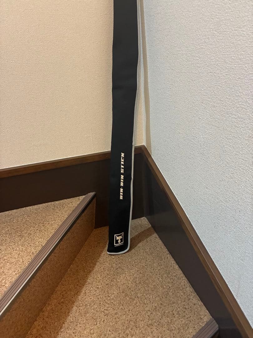 ビンビンスティック エクストロ BXS-C511UL 超美品