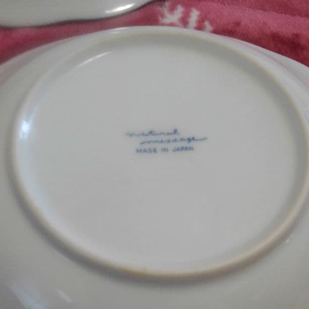 確認用です　カレー皿