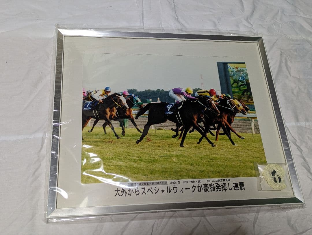 スペシャルウィーク　武豊　天皇賞秋　競走馬　写真　パネル　額縁　スポーツ新聞付き