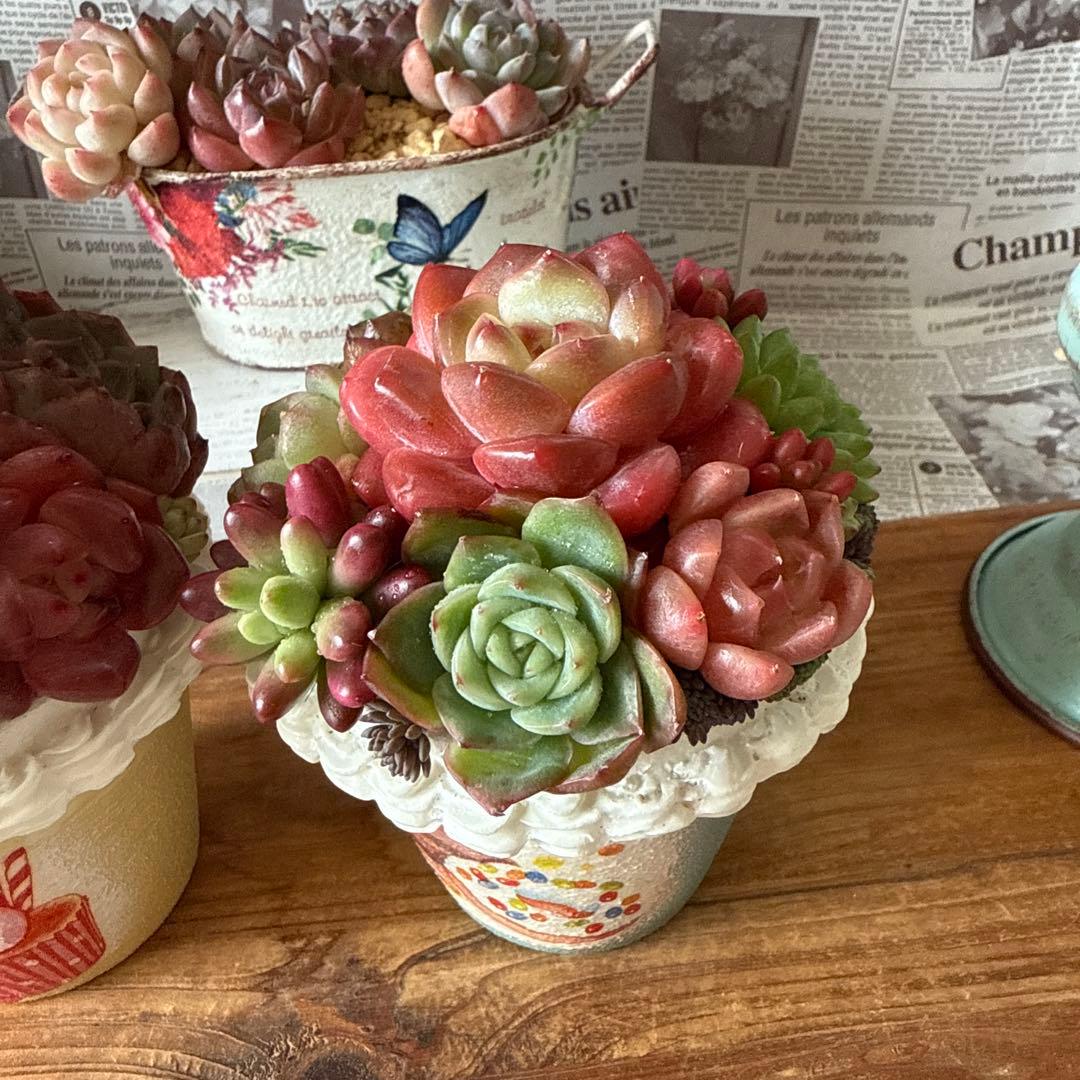 ❤︎sweets whip❤︎ そのまま飾れる多肉植物の寄せ植えリメ鉢ちまリメ缶