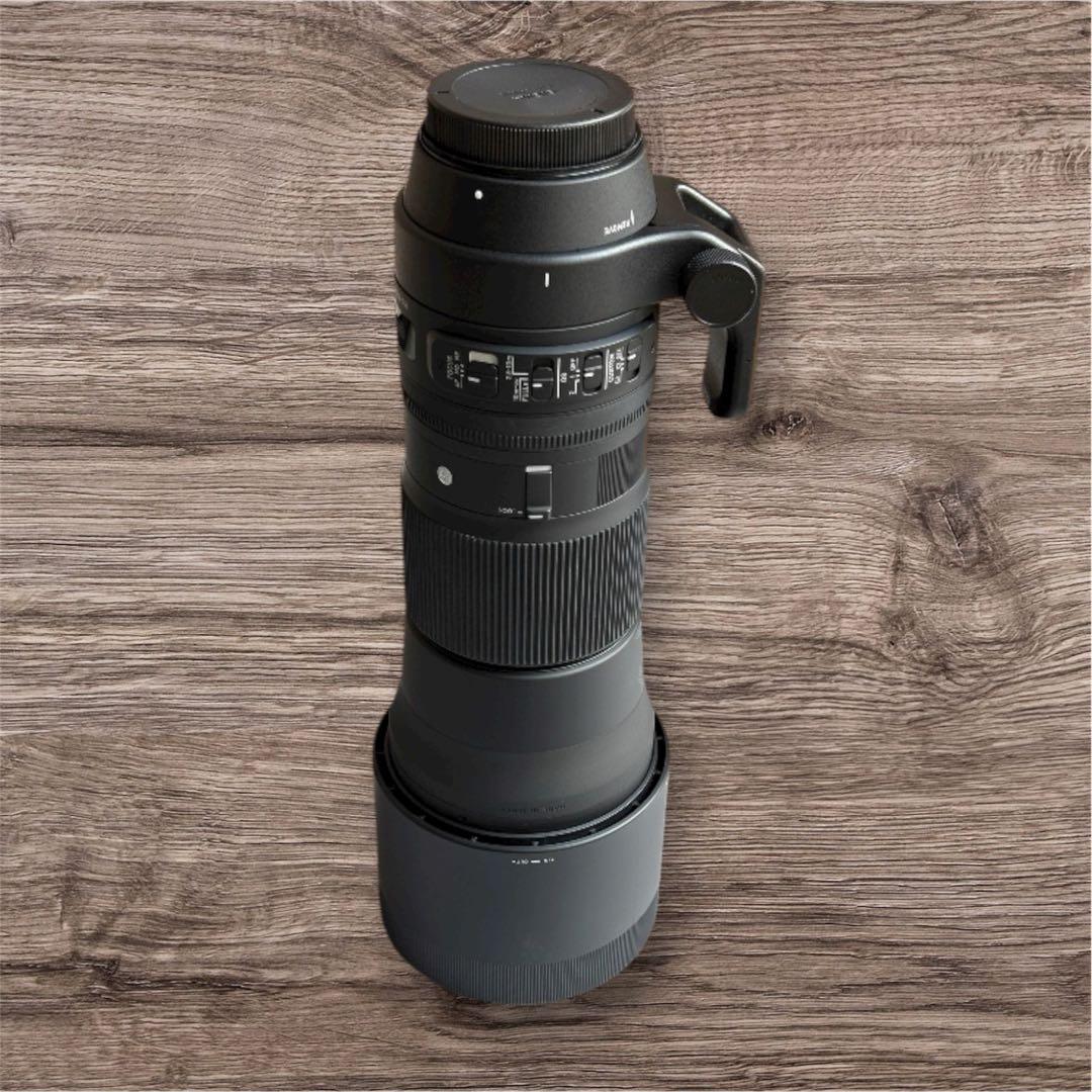 SIGMA 150-600mm F5-6.3 DG Canon EF用