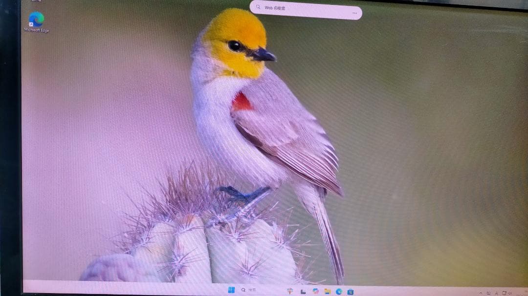 ◆ 《 HP ProDesk 400 G5 SFF( i5-8500) 》 ◆