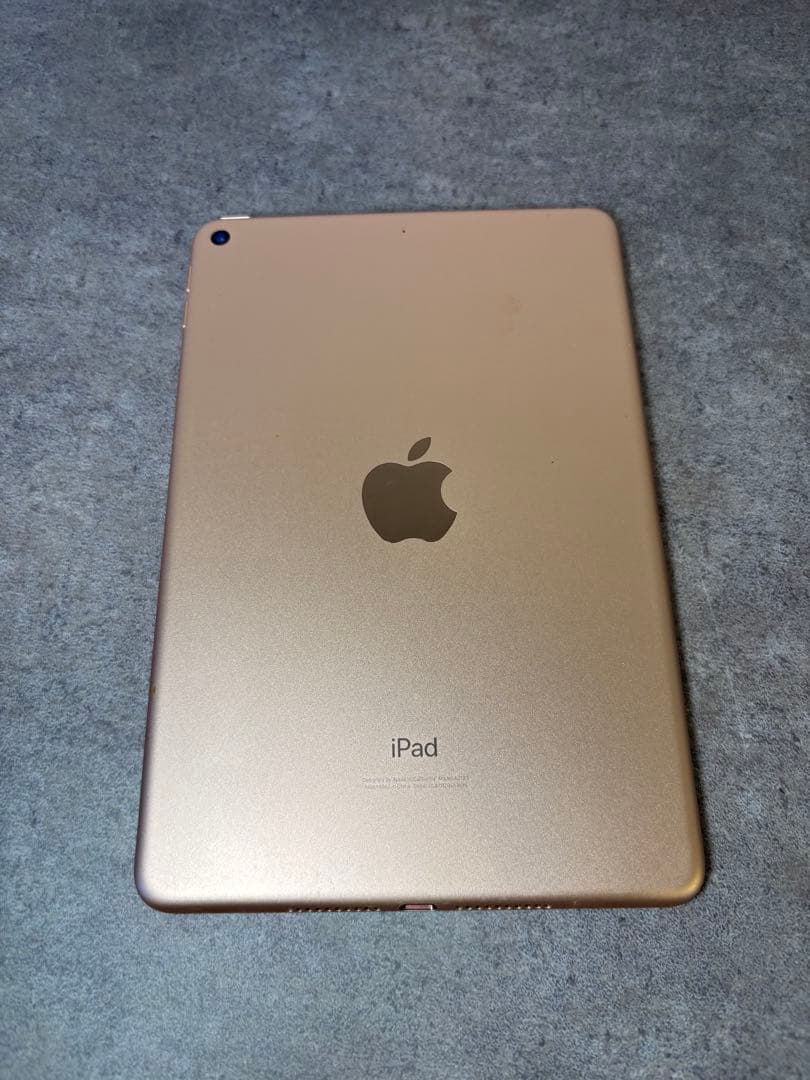 さいり　iPad mini (第5世代) 64GB