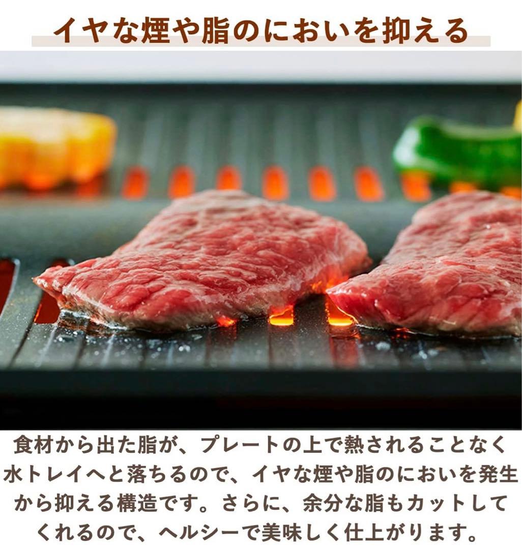 Aladdin(アラジン) CAGMG7A グラファイトミニグリラー グリーン