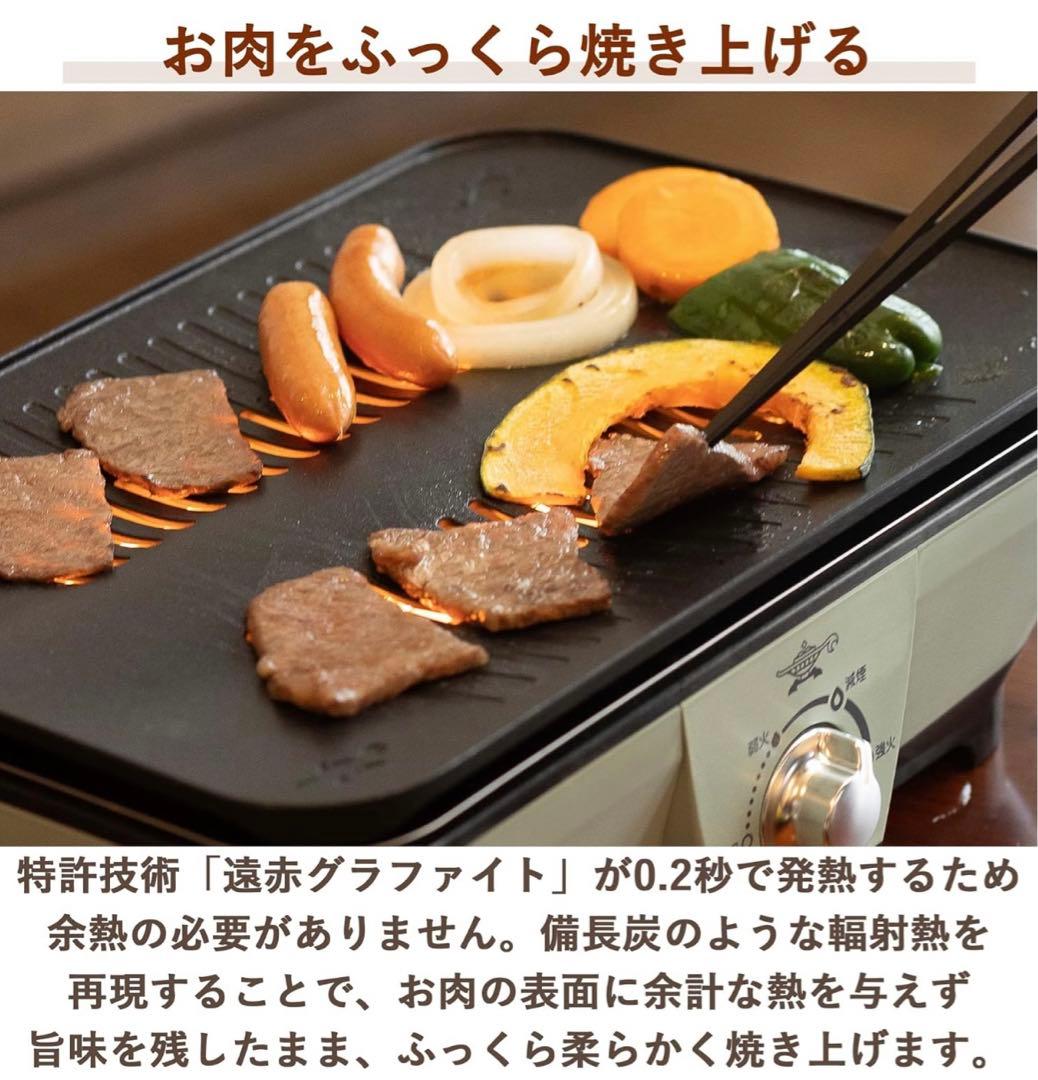 Aladdin(アラジン) CAGMG7A グラファイトミニグリラー グリーン