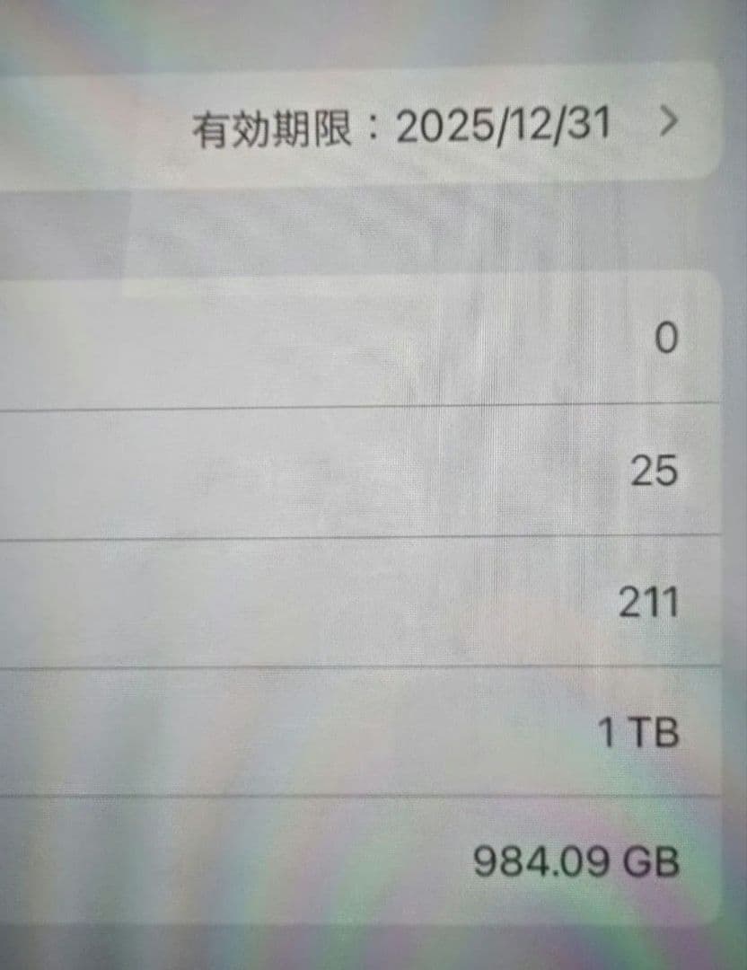 iPad Pro 13 M4 1TB SIMフリー ほぼ未使用