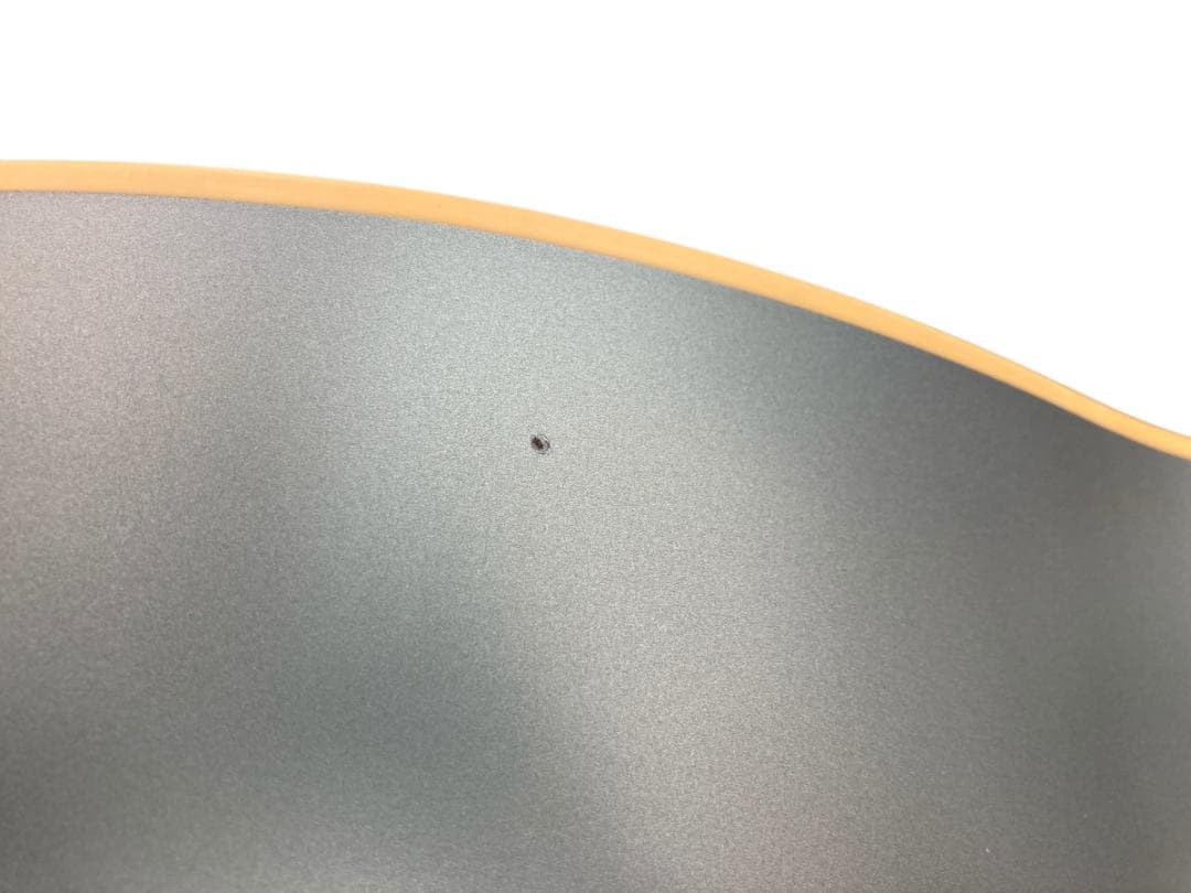 Fender エレアコ Newporter Player IBM WIN