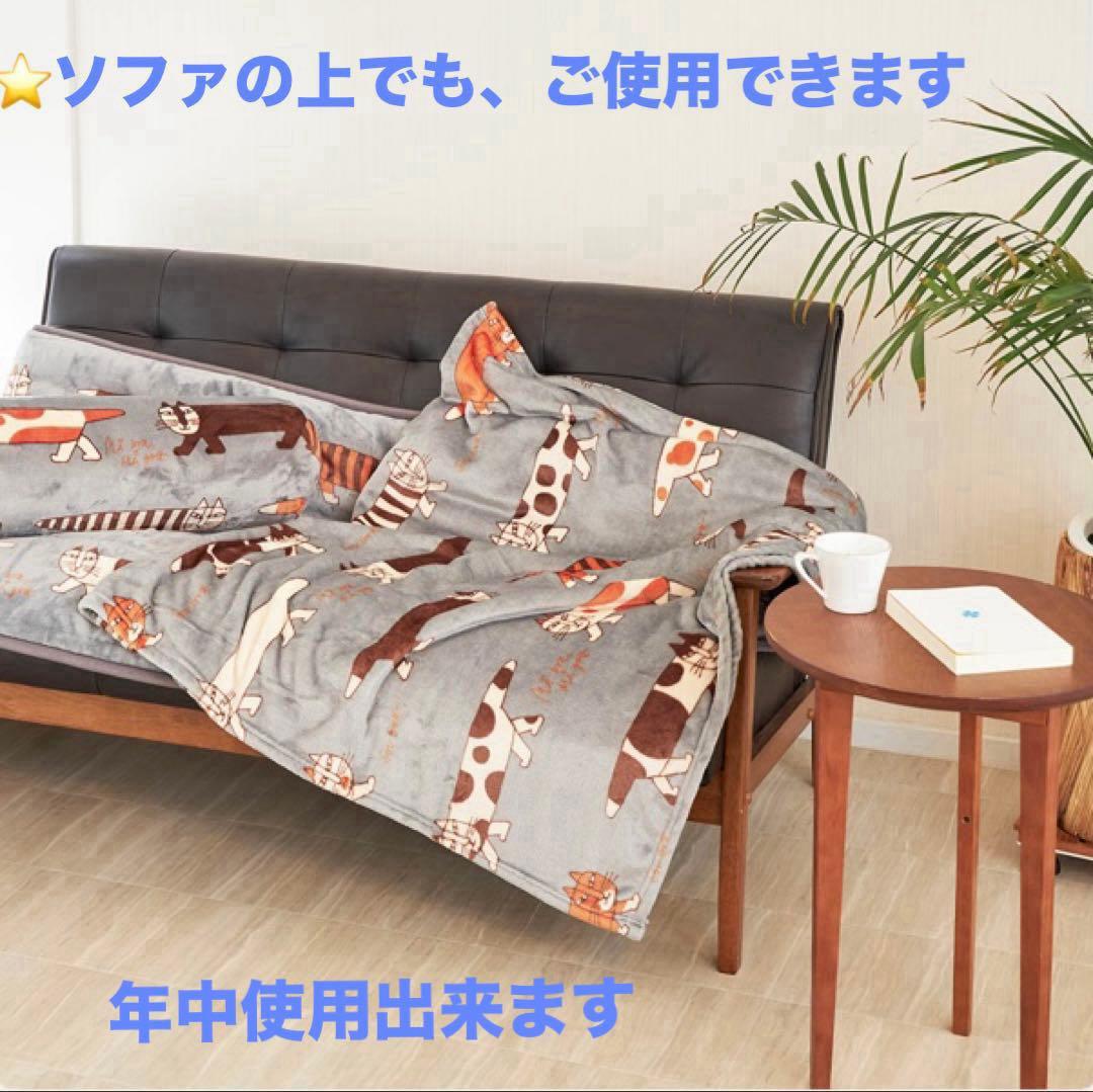 【新品未使用】KOIZUMI パーソナルマット　KDM-L117/H