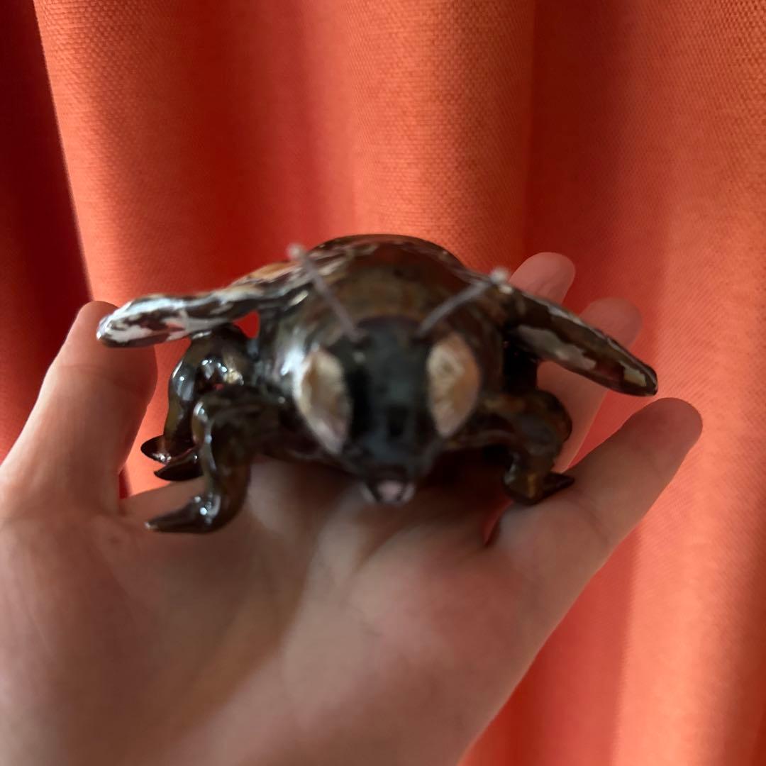 リアルな昆虫標本 手のひらサイズ