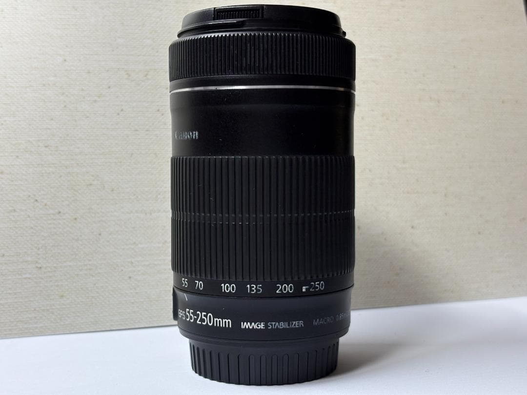 ★CANON キヤノン EF-S55-250mm F4-5.6 IS STM