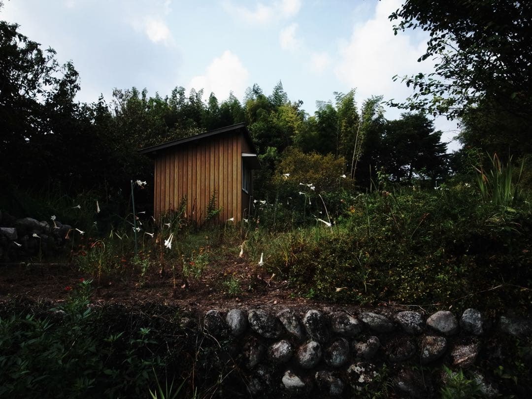 RICOH GR DIGITAL IV ショット数2448回 オマケ多数