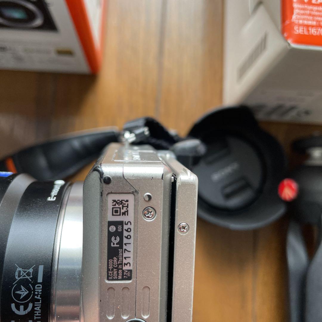 SONY α6000, vario tessar e16-70mm f4