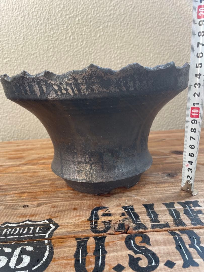 松野然 ZEN 検）塊根 アガベ 作家鉢　パキプス　グラキリス