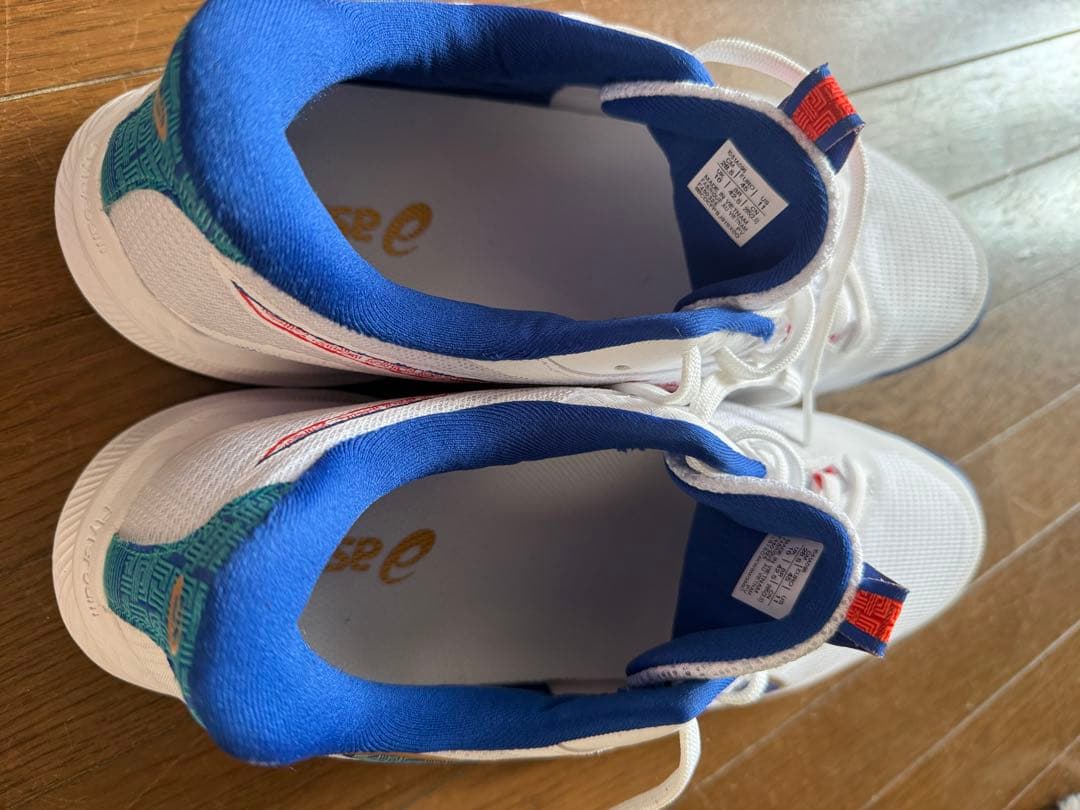 NETBURNER BALLISTIC FF 4 サイズ28.5センチ